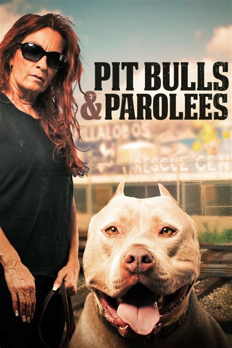 how did prada from pitbulls and parolees die|Prada the pit bull death.